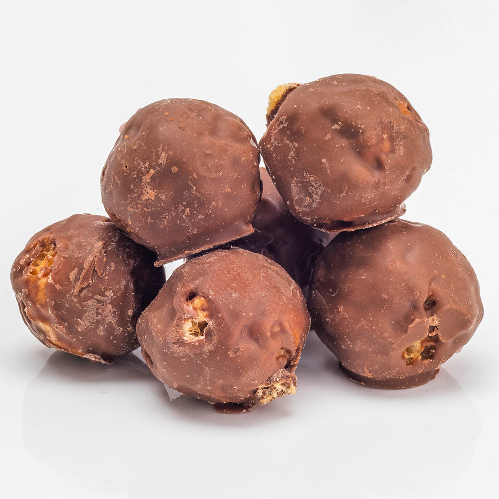 Freeze Dried Chocolate Covered Eclairs (6)